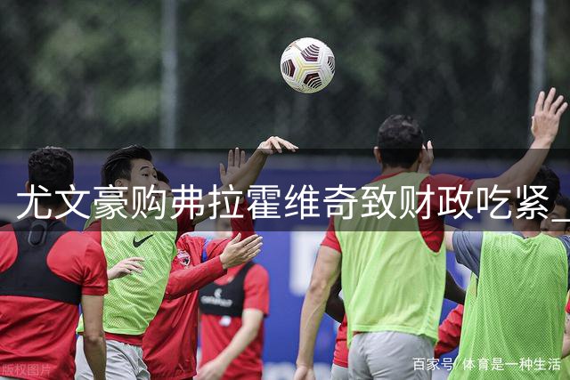 尤文豪购弗拉霍维奇致财政吃紧 未来两年预算告罄