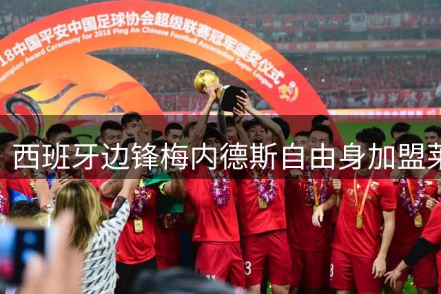 西班牙边锋梅内德斯自由身加盟莱昂文体